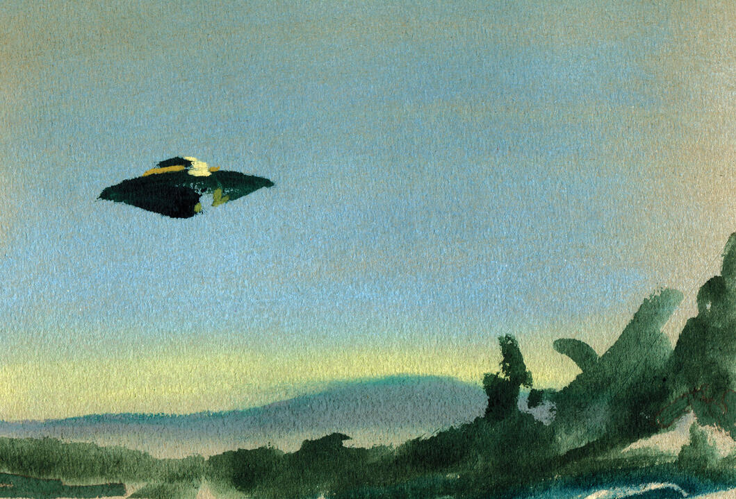 Untitled